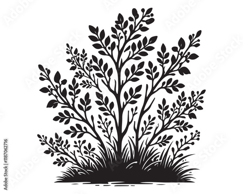 Bush 4.eps