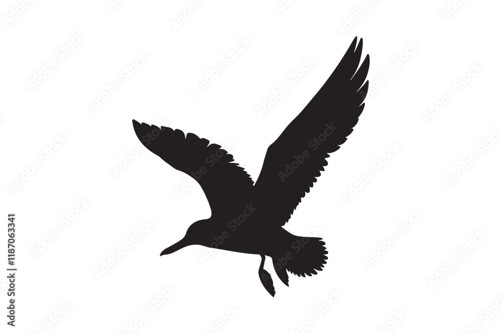 Silhouette of a Flying Bird in Elegant Pose Silhouette of a Flying Bird in Elegant Pose