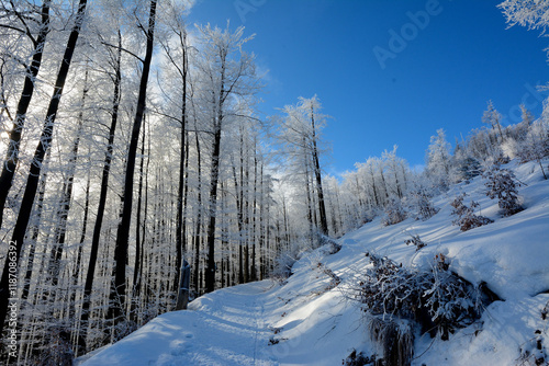 Fototapeta Naklejka Na Ścianę i Meble -  Góry zimą