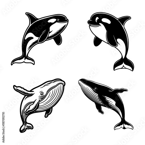 olphin and whale black silhouette illustration vector. photo