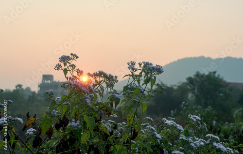 start of a new day as sun rises against backdrop of hilly landscape in Baranti (or Barhanti) village, Purulia district. Warm golden lights have created a scenic natural beauty in a winter dawn. photo