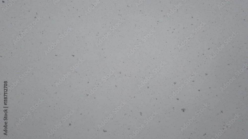 Large snow flakes fall from the sky Large snow flakes fall from the sky