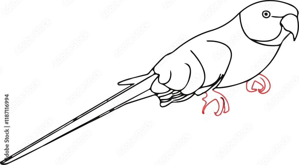 parrot 2 parrot 2