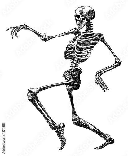 skeleton dancing isolated hand drawn sketch side view in dynamic pose card design element line art detailed vector illustration