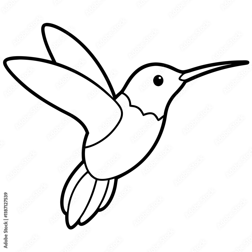 Obraz premium hummingbird in flying for kids book