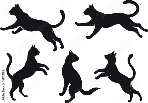 Photography jumping cat icon set silhouette vector