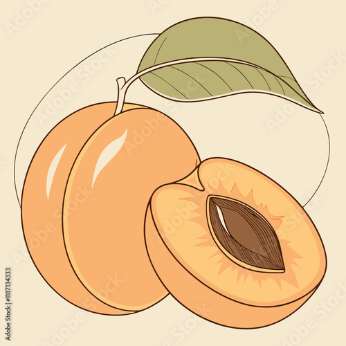 illustration of an mango