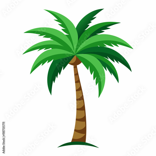 palm tree illustration