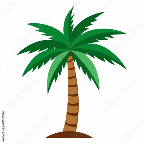 palm tree isolated on white