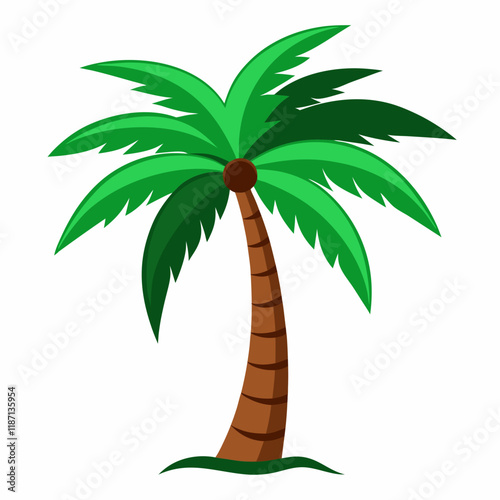 palm tree vector illustration