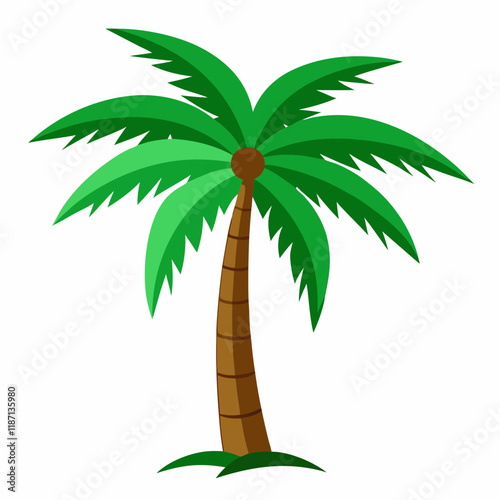 palm tree illustration