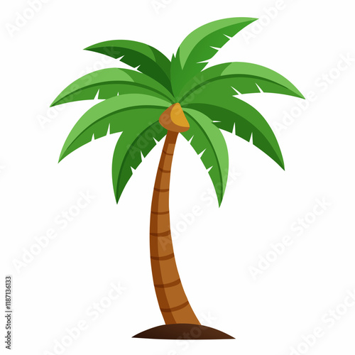 palm tree vector illustration