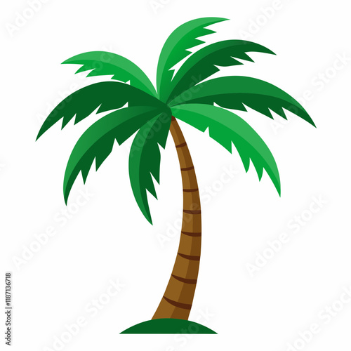 palm tree vector illustration