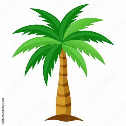 palm tree illustration