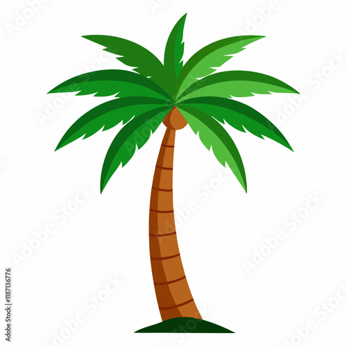 palm tree illustration