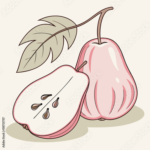 illustration of a pear