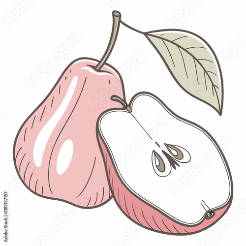 illustration of a pear