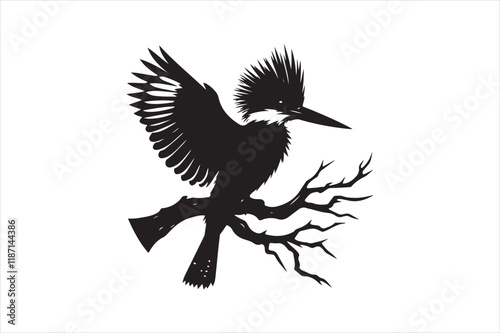Kingfisher Silhouette vector 