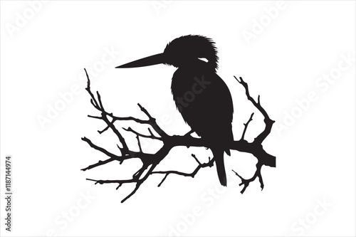 Kingfisher Silhouette vector 
