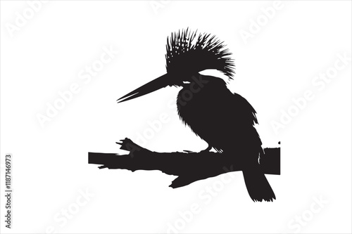 Kingfisher Silhouette vector 