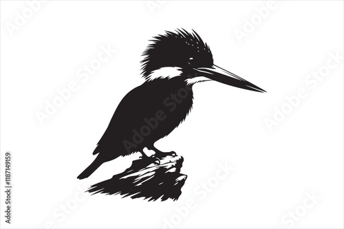 Kingfisher Silhouette vector 