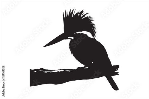 Kingfisher Silhouette vector 