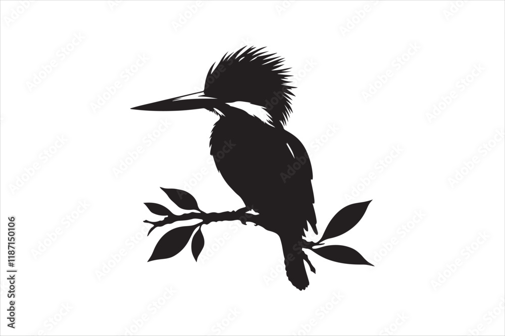 Obraz premium Kingfisher Silhouette vector 