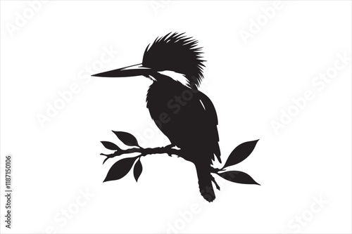 Kingfisher Silhouette vector 