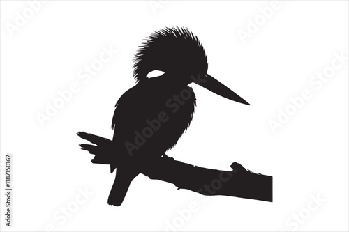 Kingfisher Silhouette vector 