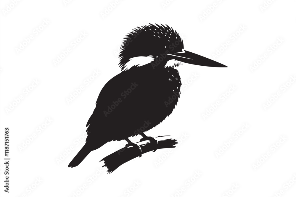 Obraz premium Kingfisher Silhouette vector 
