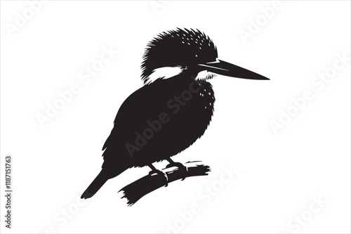 Kingfisher Silhouette vector 