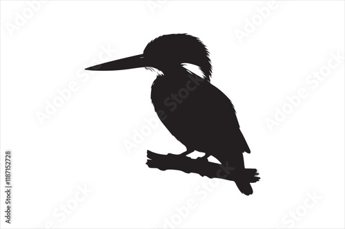 Kingfisher Silhouette vector 