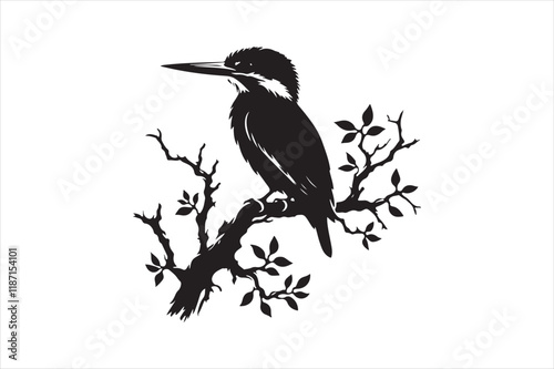 Kingfisher Silhouette vector 