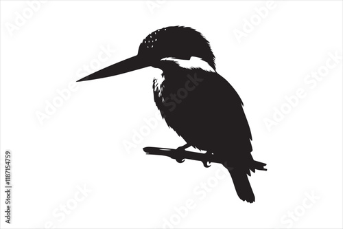Kingfisher Silhouette vector 