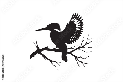 Kingfisher Silhouette vector 