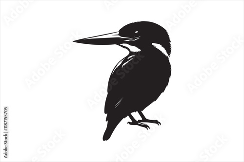 Kingfisher Silhouette vector 