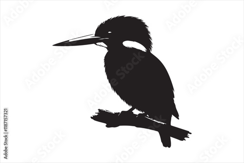Kingfisher Silhouette vector 