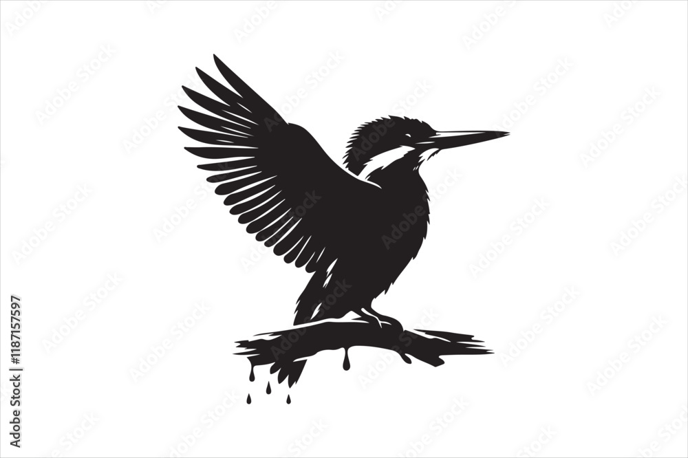 Obraz premium Kingfisher Silhouette vector 