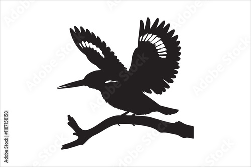 Kingfisher Silhouette vector 