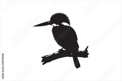 Kingfisher Silhouette vector 