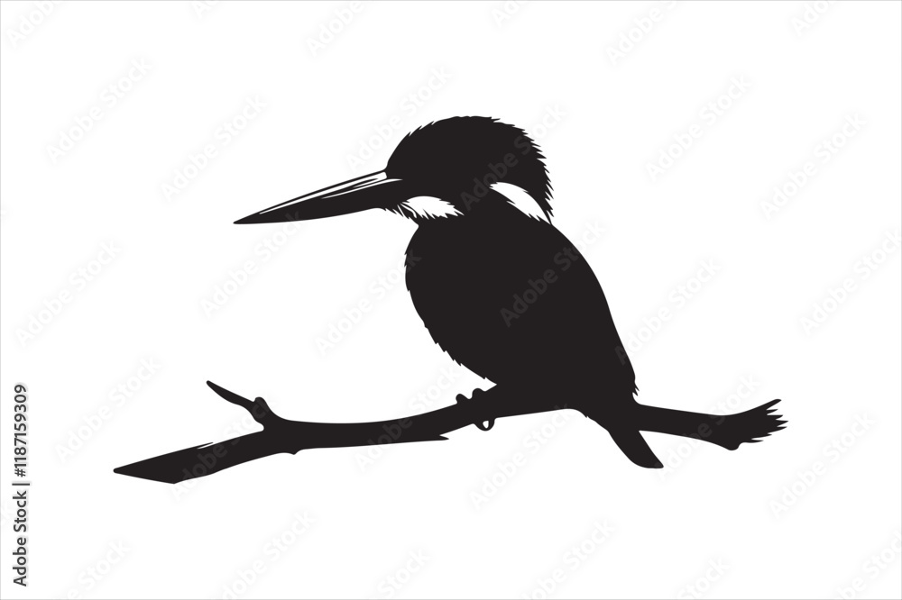 Obraz premium Kingfisher Silhouette vector 