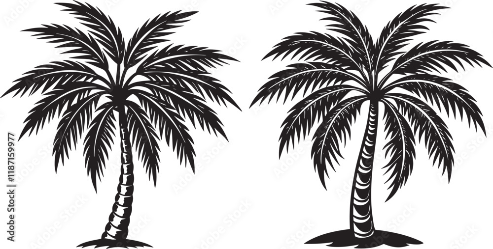 Fototapeta premium Palm tree silhouette