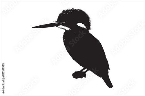 Kingfisher Silhouette vector 