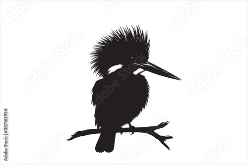 Kingfisher Silhouette vector 