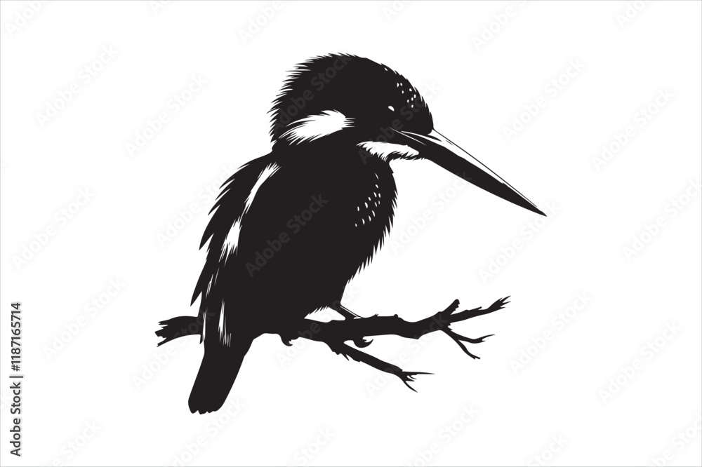 Fototapeta premium Kingfisher Silhouette vector 