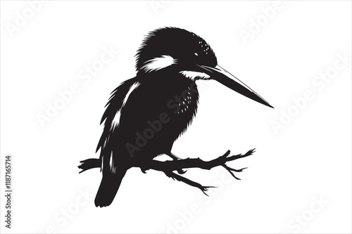 Kingfisher Silhouette vector 