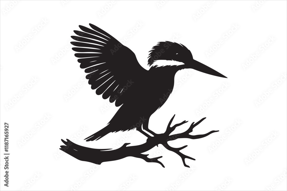 Fototapeta premium Kingfisher Silhouette vector 
