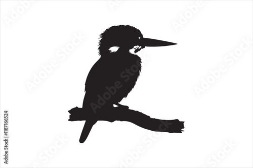 Kingfisher Silhouette vector 