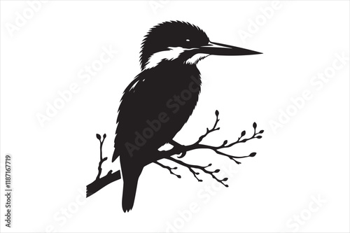 Kingfisher Silhouette vector 