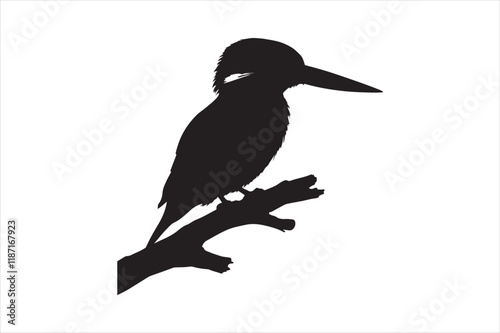 Kingfisher Silhouette vector 